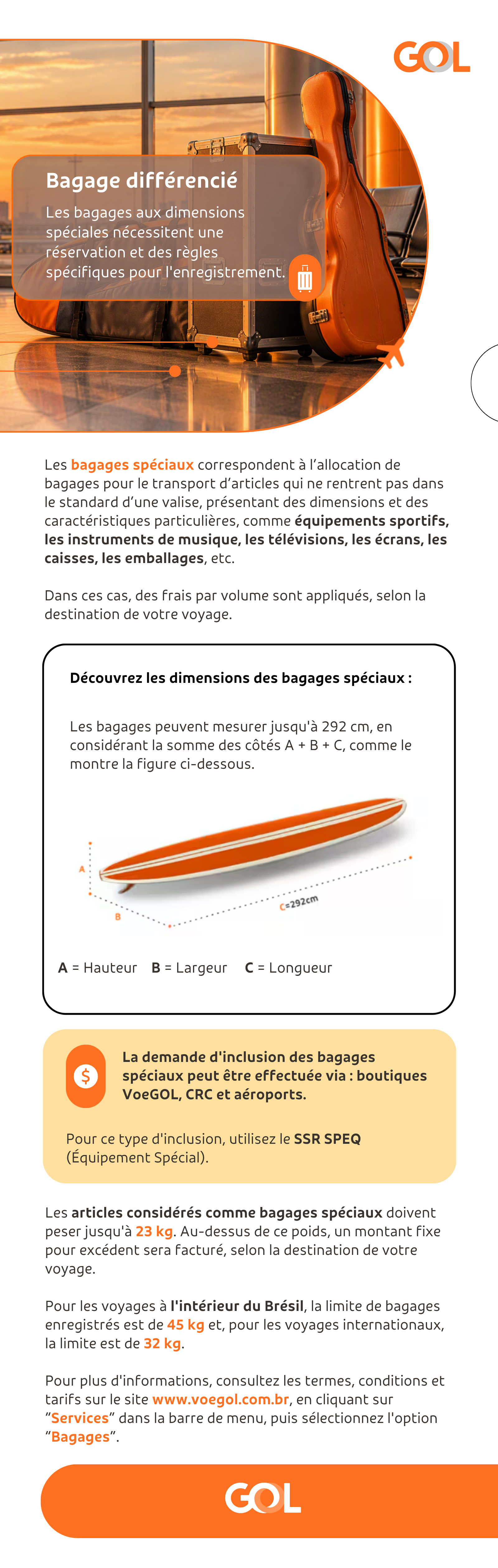 Bagagem Diferenciada - FR.png